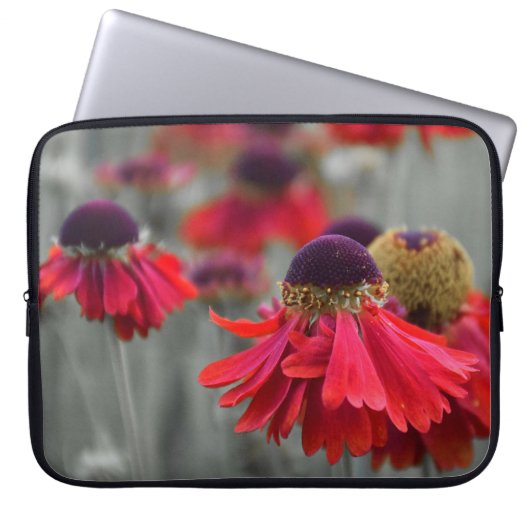Rotes Helenium in selektiven Farben - desaturiert Laptopschutzhülle (Vorderseite)