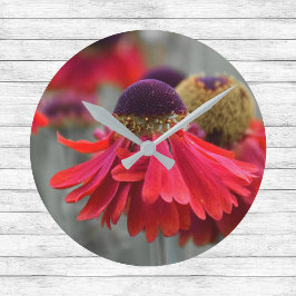 Rotes Helenium in selektiven Farben - desaturiert Runde Wanduhr