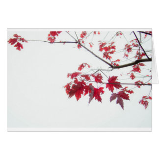 rotes Herbst-Blätter auf einer Niederlassung