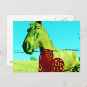 Rotes Herz und Pferd Postkarte (Vorne/Hinten)