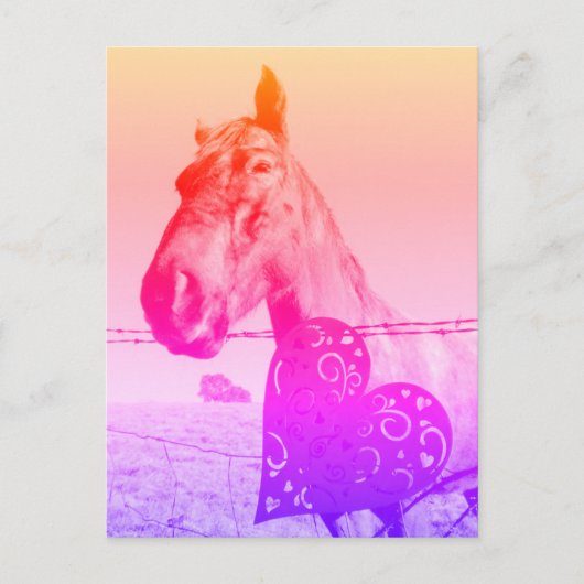 Rotes Herz und Pferd-Valinetine oder Liebe Postkarte (Vorderseite)