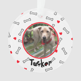 Rotes Herz Weißes Knochen Foto Ornament