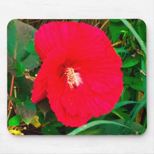 Rotes Hibiskus-Mauspad Mousepad (Vorne)