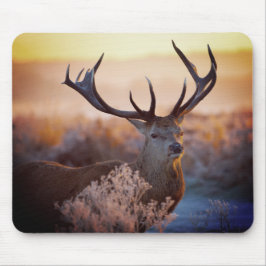 Rotes Hirsch am frühen Morgen, Mauspad