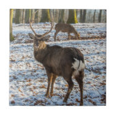 Rotes Hirsch im Schnee Fliese (Vorderseite)