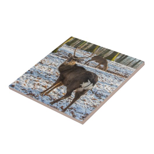Rotes Hirsch im Schnee Fliese (Seite)