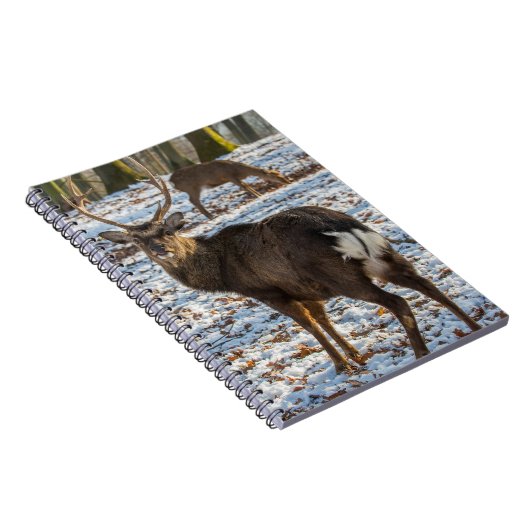 Rotes Hirsch im Schnee Notizblock (Rechte Seite)