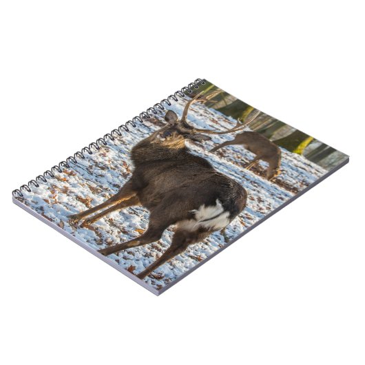 Rotes Hirsch im Schnee Notizblock (Linke Seite)