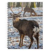 Rotes Hirsch im Schnee Notizblock (Vorderseite)