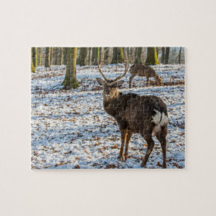 Rotes Hirsch im Schnee Puzzle