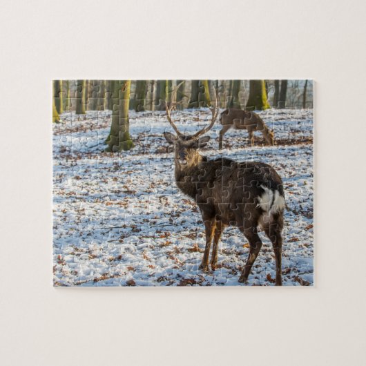 Rotes Hirsch im Schnee Puzzle (Horizontal)
