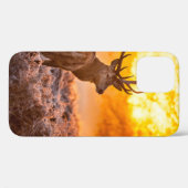 Rotes Hirsch in der Morgensonne. Hirsche, Tiere, w Case-Mate iPhone Hülle (Rückseite (Horizontal))