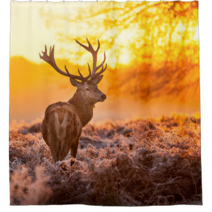Rotes Hirsch in der Morgensonne. Hirsche, Tiere, w Duschvorhang