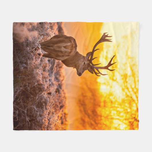 Rotes Hirsch in der Morgensonne. Hirsche, Tiere, w Fleecedecke (Vorderseite (Horizontal))