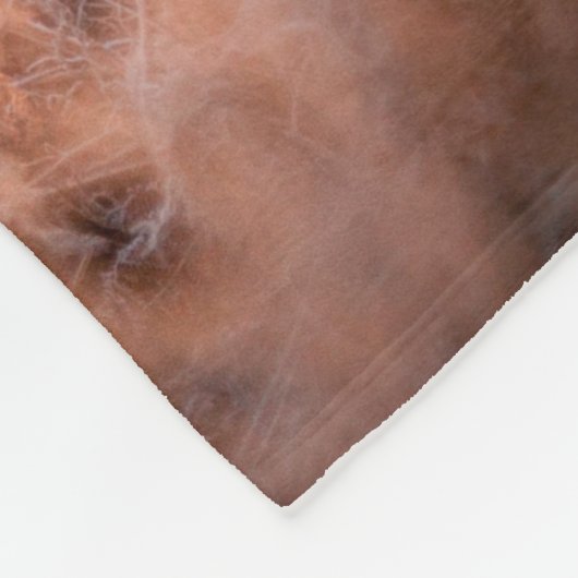 Rotes Hirsch in der Morgensonne. Hirsche, Tiere, w Fleecedecke (Ecke)