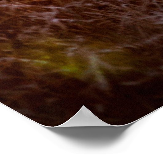 Rotes Hirsch in der Morgensonne. Hirsche, Tiere, w Poster (Ecke)