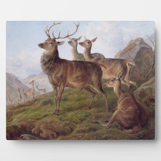 Rotes Hirsch in einer Hochlandlandschaft, 1872 (Öl Fotoplatte (Vorderseite)