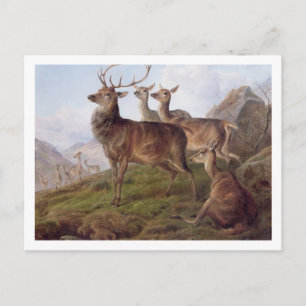Rotes Hirsch in einer Hochlandlandschaft, 1872 (Öl Postkarte