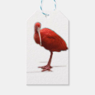 Rotes IBIS geben dem Vogelliebhaber in Ihrem Leben Geschenkanhänger