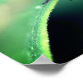 Rotes Käfer-Insekt Nah Poster (Ecke)