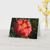 Rotes Kamelien. Bute Park, Cardiff, Wales Karte (Gelbe Blume)