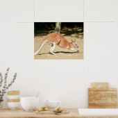 Rotes Känguru im Sandurlaub Poster (Küche)