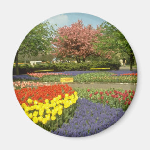 Rotes Keukenhof arbeitet nahe Haarlem, die Magnet