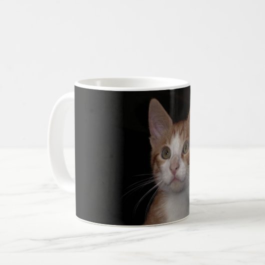 Rotes Kitt - junge Katze, schwarzer Hintergrund Kaffeetasse (Vorderseite Links)
