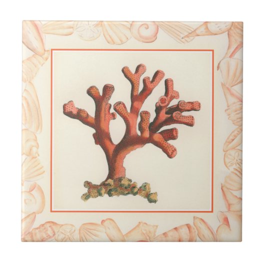 Rotes Korallenriff mit Conch-Muschel-Grenze Fliese (Vorderseite)