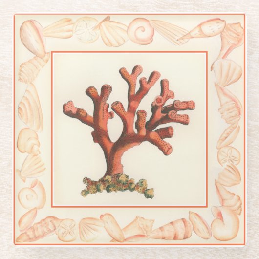 Rotes Korallenriff mit Conch-Muschel-Grenze Glasuntersetzer (Vorderseite)