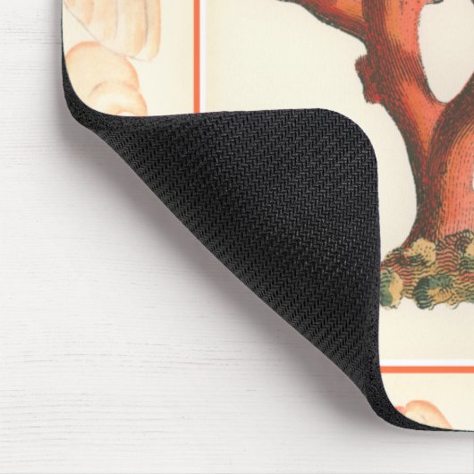 Rotes Korallenriff mit Conch-Muschel-Grenze Mousepad (Ecke)