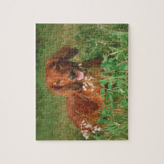 Rotes langhaariges Dackel-Hundepuzzlespiel Puzzle (Vertikal)