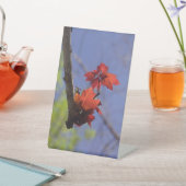 Rotes Leaf auf blauem Raumakzent Sockelschild (In SItu)