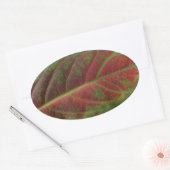 Rotes Leaf, ovaler Aufkleber, Dichtscheibe, Etiket Aufkleber (Umschlag)