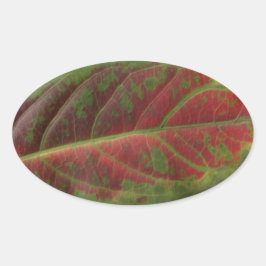 Rotes Leaf, ovaler Aufkleber, Dichtscheibe, Etiket Aufkleber