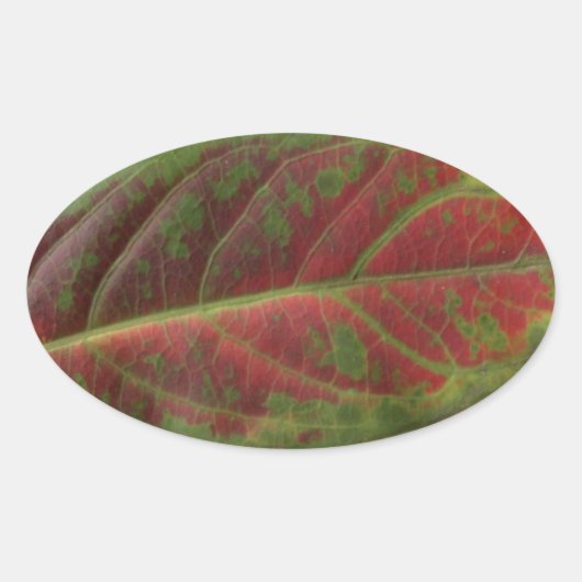 Rotes Leaf, ovaler Aufkleber, Dichtscheibe, Etiket Ovaler Aufkleber (Vorderseite)