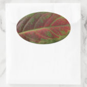 Rotes Leaf, ovaler Aufkleber, Dichtscheibe, Etiket Ovaler Aufkleber (Tasche)
