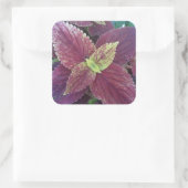 Rotes Leaf Pflanze Große Aufkleber auf dem Platz (Tasche)