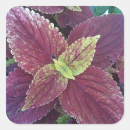 Rotes Leaf Pflanze Große Aufkleber auf dem Platz