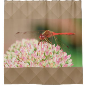 Rotes Libellenbild Duschvorhang