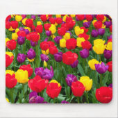 Rotes, lila, gelbes Tulpe mousepad (Vorne)