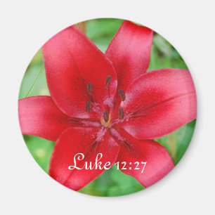 Rotes Lilien-Magnetluke-12:27 Magnet