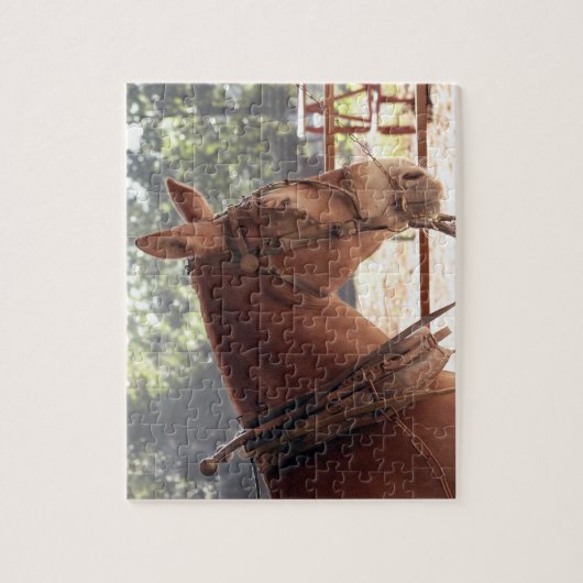 Rotes Maultier-Puzzlespiel Puzzle (Vertikal)