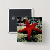 Rotes Meer der Stern-Fisch-| Button (Vorne & Hinten)