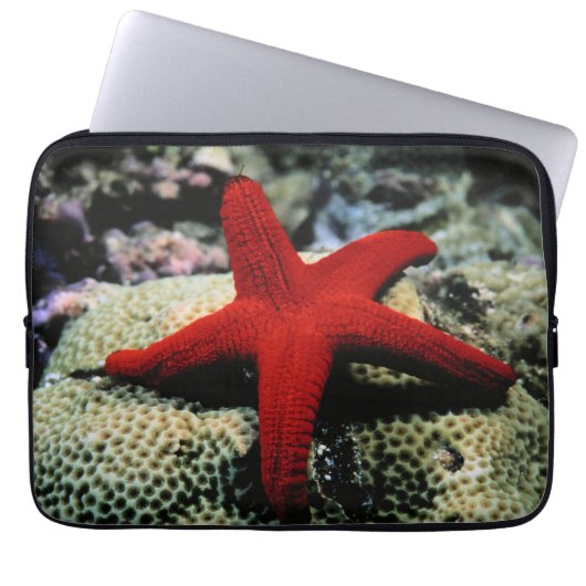 Rotes Meer der Stern-Fisch-| Laptopschutzhülle (Vorderseite)