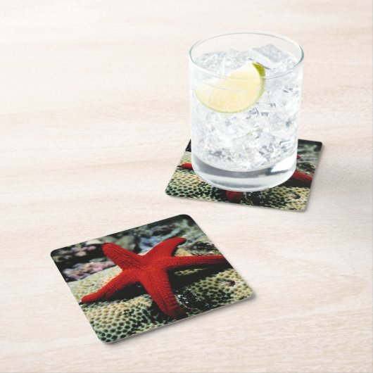 Rotes Meer der Stern-Fisch-| Rechteckiger Pappuntersetzer (Vor Ort)