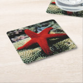 Rotes Meer der Stern-Fisch-| Rechteckiger Pappuntersetzer (angewinkelt)