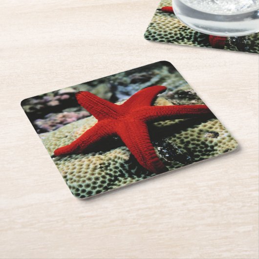 Rotes Meer der Stern-Fisch-| Rechteckiger Pappuntersetzer (angewinkelt)