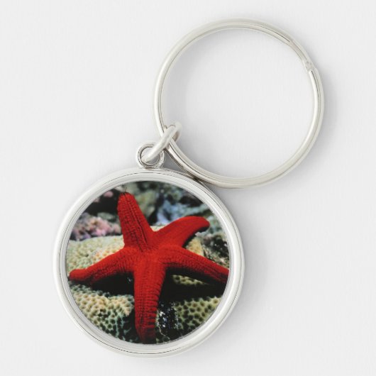 Rotes Meer der Stern-Fisch-| Schlüsselanhänger (Vorne)