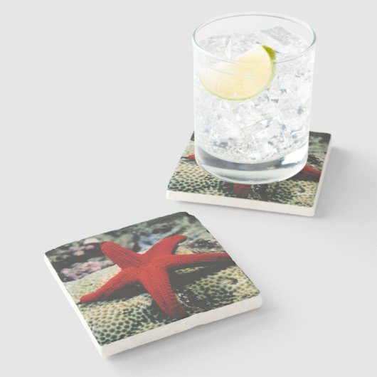 Rotes Meer der Stern-Fisch-| Steinuntersetzer (Seitenansicht)